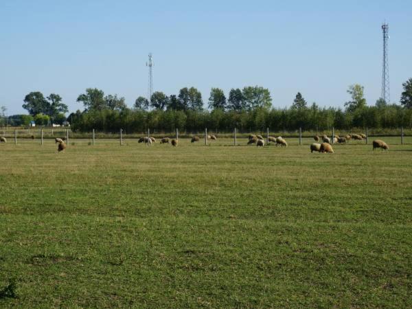 Domek Na Wsi-Agroturystyka Czyze Buitenkant foto